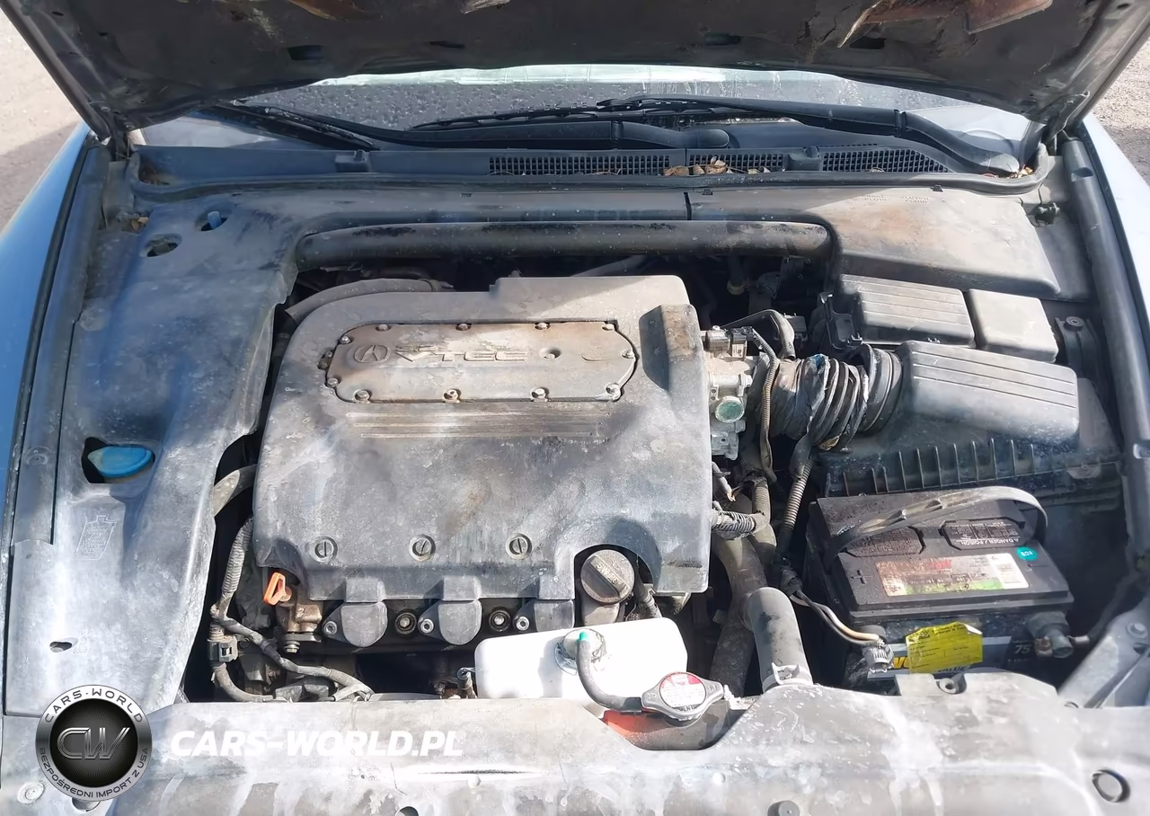 2004 Acura Tl VIN:19UUA66294A010893 - 10