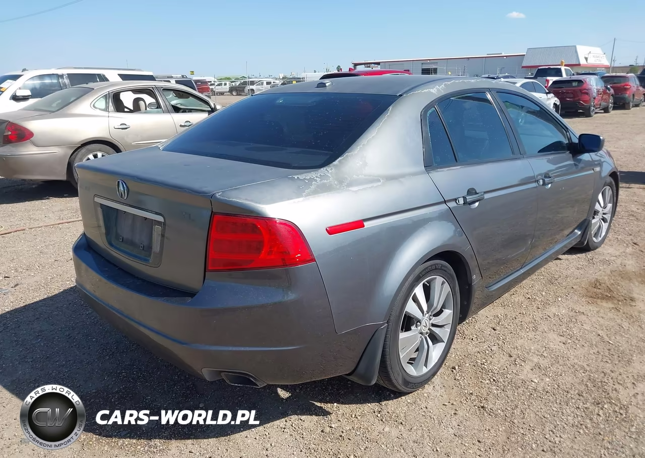 2004 Acura Tl VIN:19UUA66294A010893 - 4