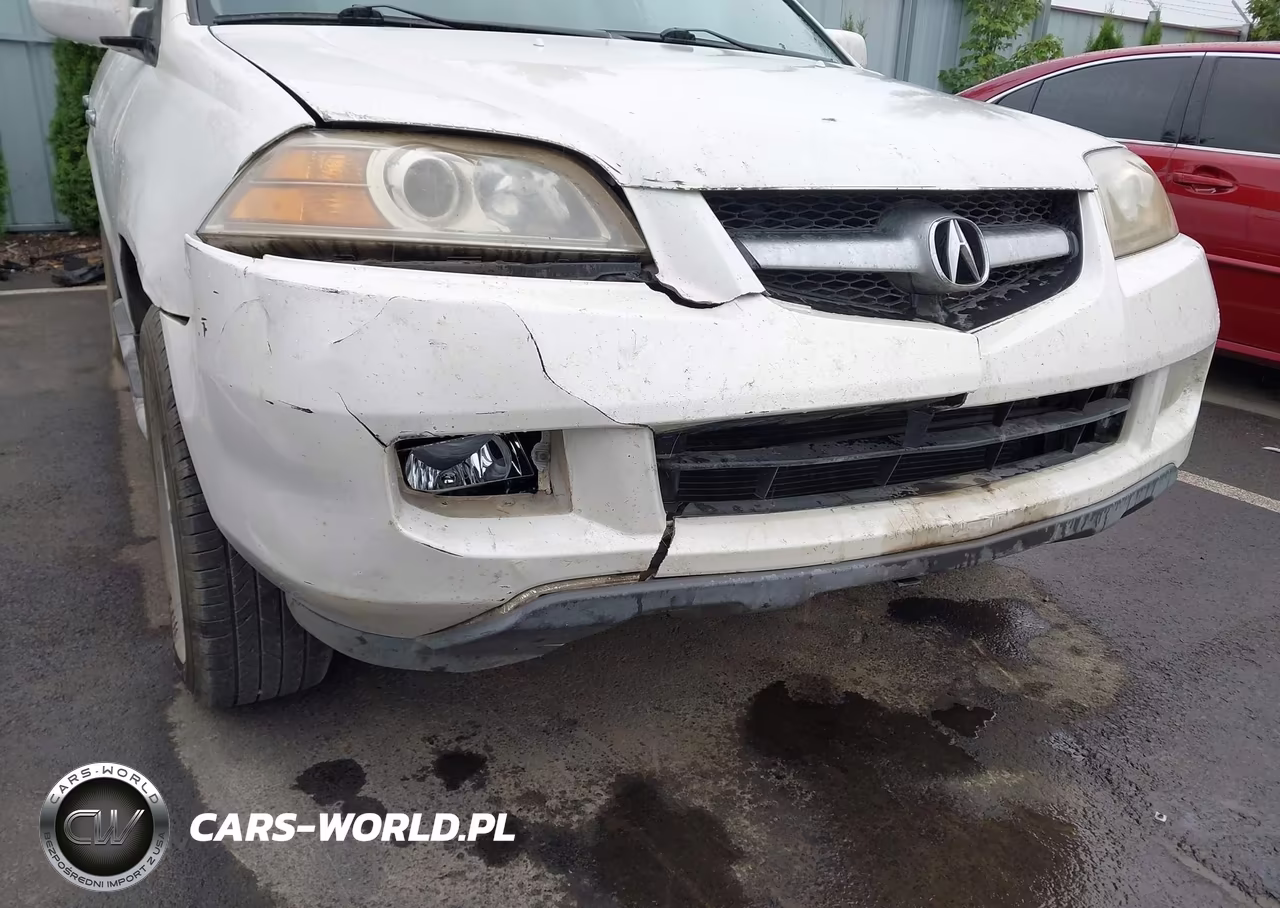 2006 Acura Mdx VIN:2HNYD186X6H532473 - 6