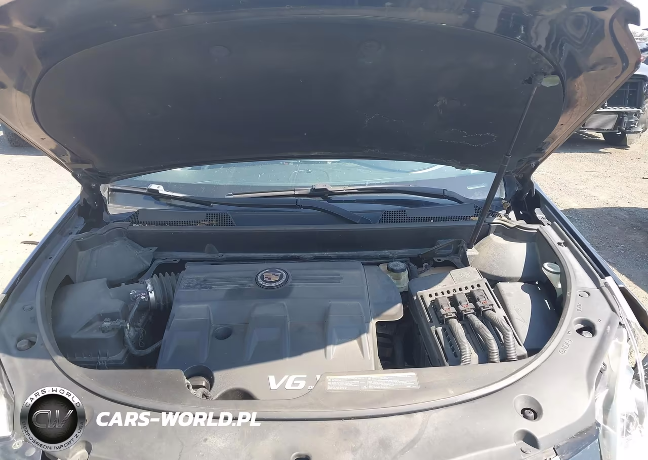 2011 Cadillac Srx Standard VIN:3GYFNGEY7BS515554 - 10