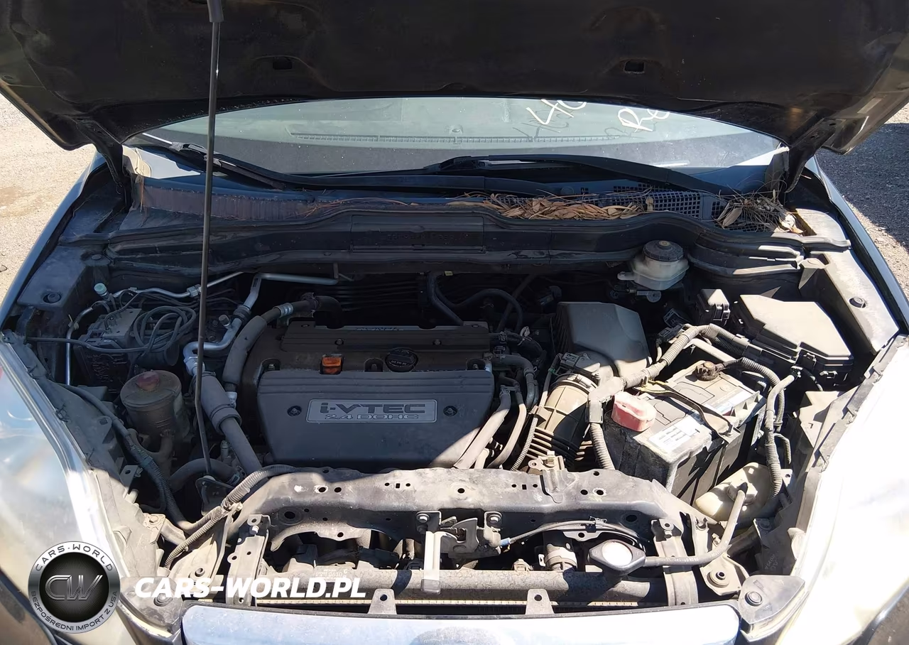 2008 Honda Cr-V Ex-L VIN:JHLRE38788C024071 - 10