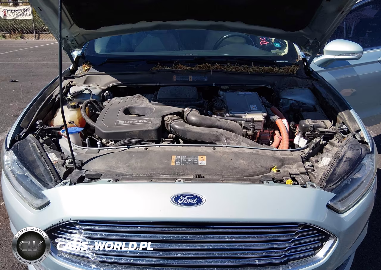 2013 Ford Fusion Hybrid Se VIN:3FA6P0LU6DR217973 - 10