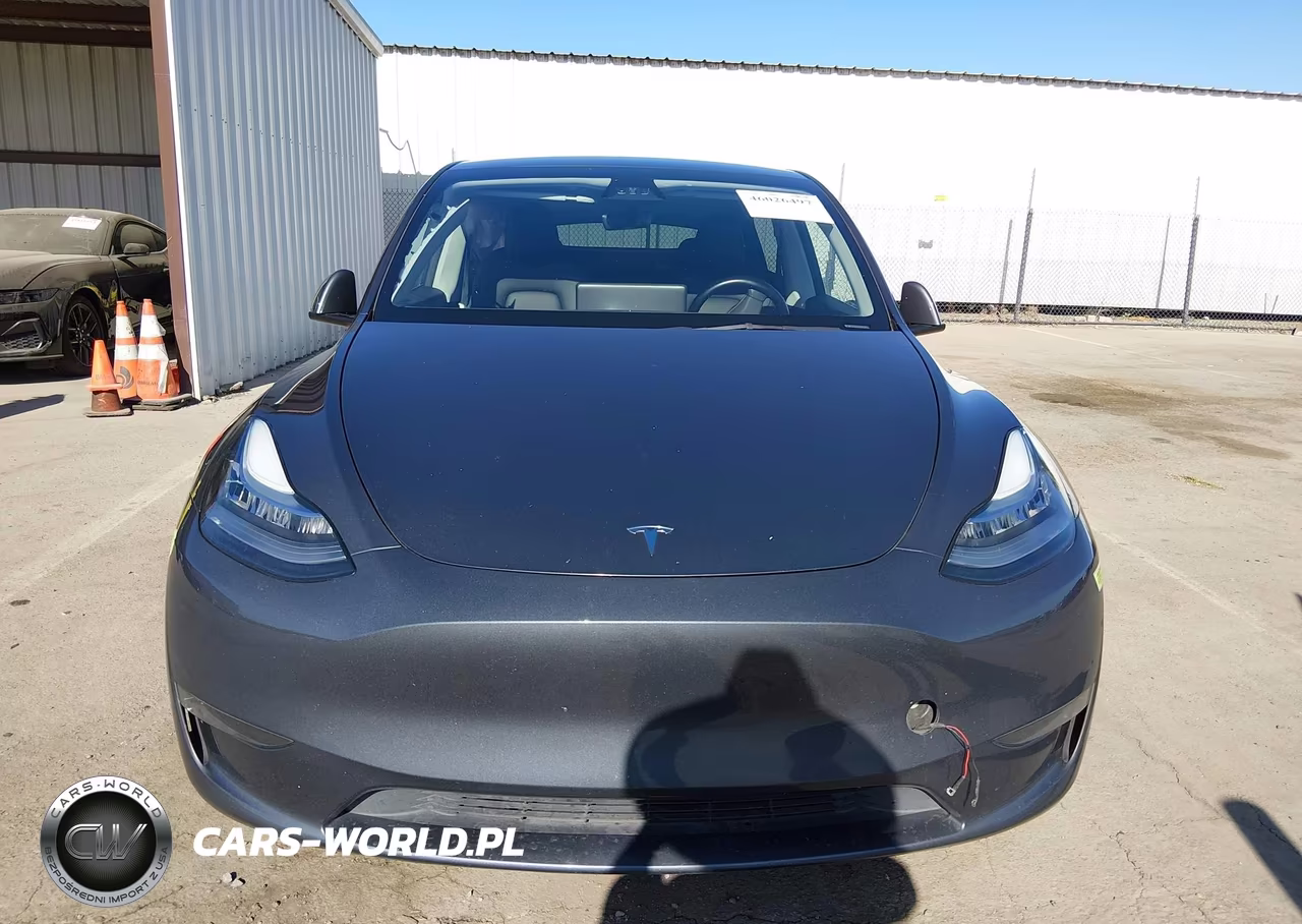2023 Tesla Model Y Awd-Long Range Dual Motor All-Wheel Drive VIN:7SAYGDEE9PA154910 - 10