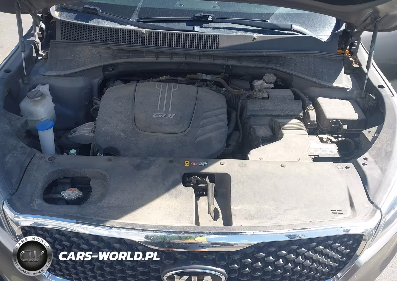 2017 Kia Sorento 3.3L Lx VIN:5XYPGDA52HG320602 - 10