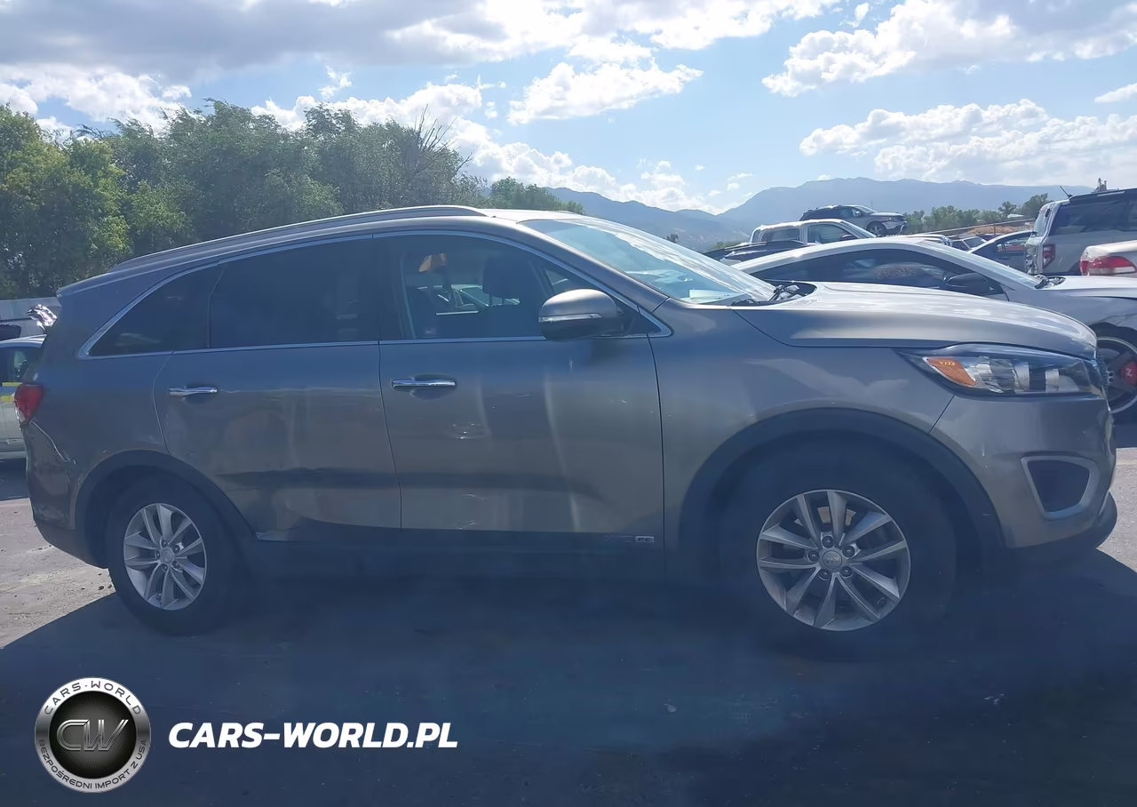 2017 Kia Sorento 3.3L Lx VIN:5XYPGDA52HG320602 - 13