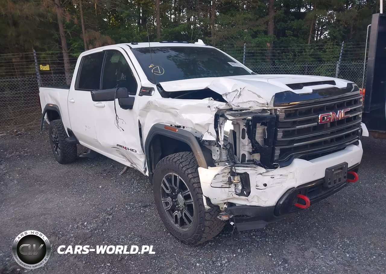 2020 GMC Sierra 2500Hd 4Wd Standard Bed At4 VIN:1GT49PE79LF280461 - 1