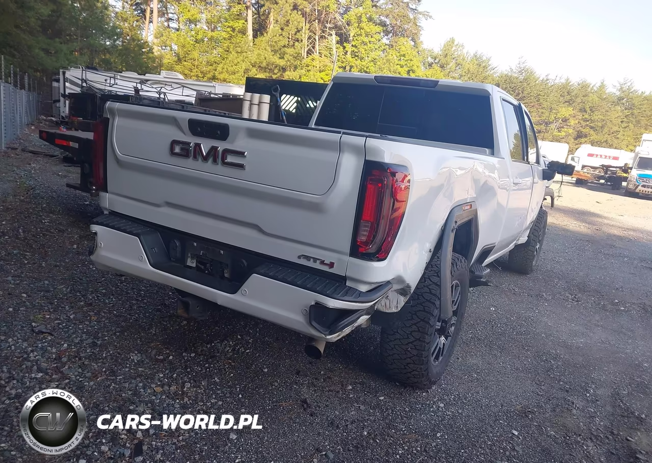 2020 GMC Sierra 2500Hd 4Wd Standard Bed At4 VIN:1GT49PE79LF280461 - 4