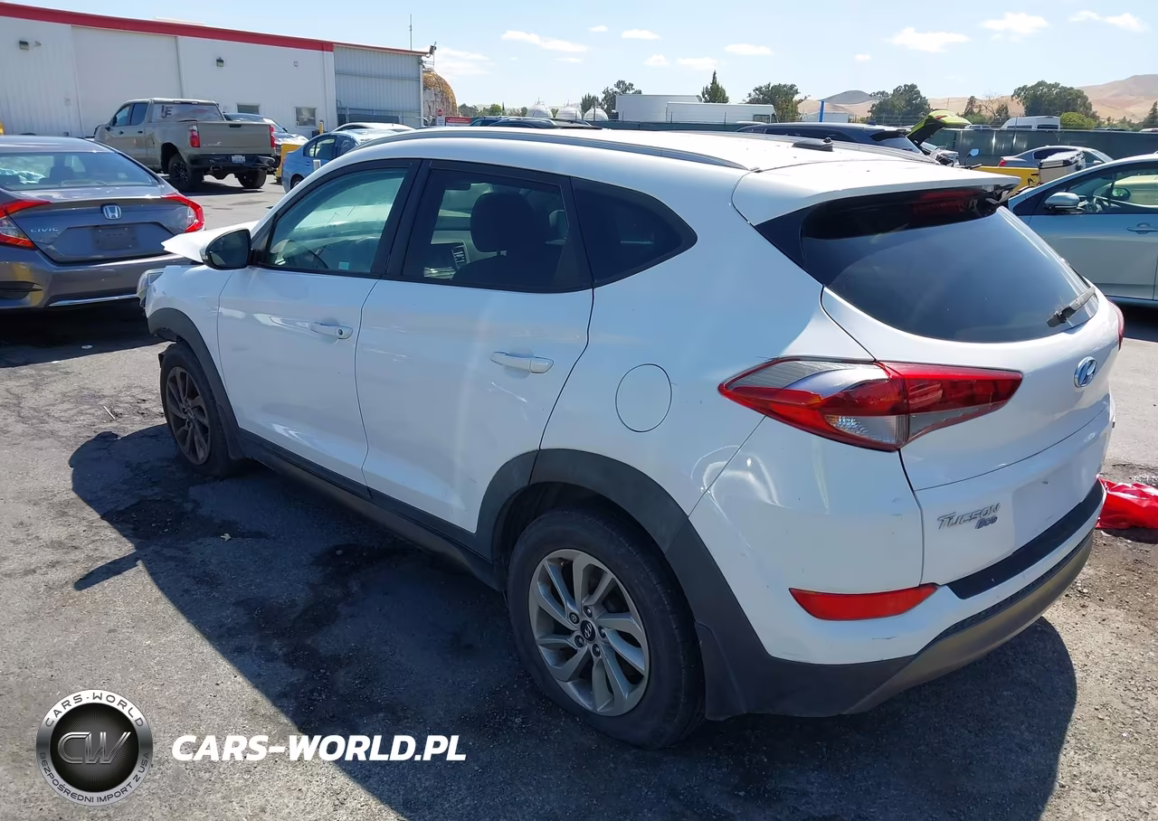 2016 Hyundai Tucson Eco VIN:KM8J33A24GU063405 - 3