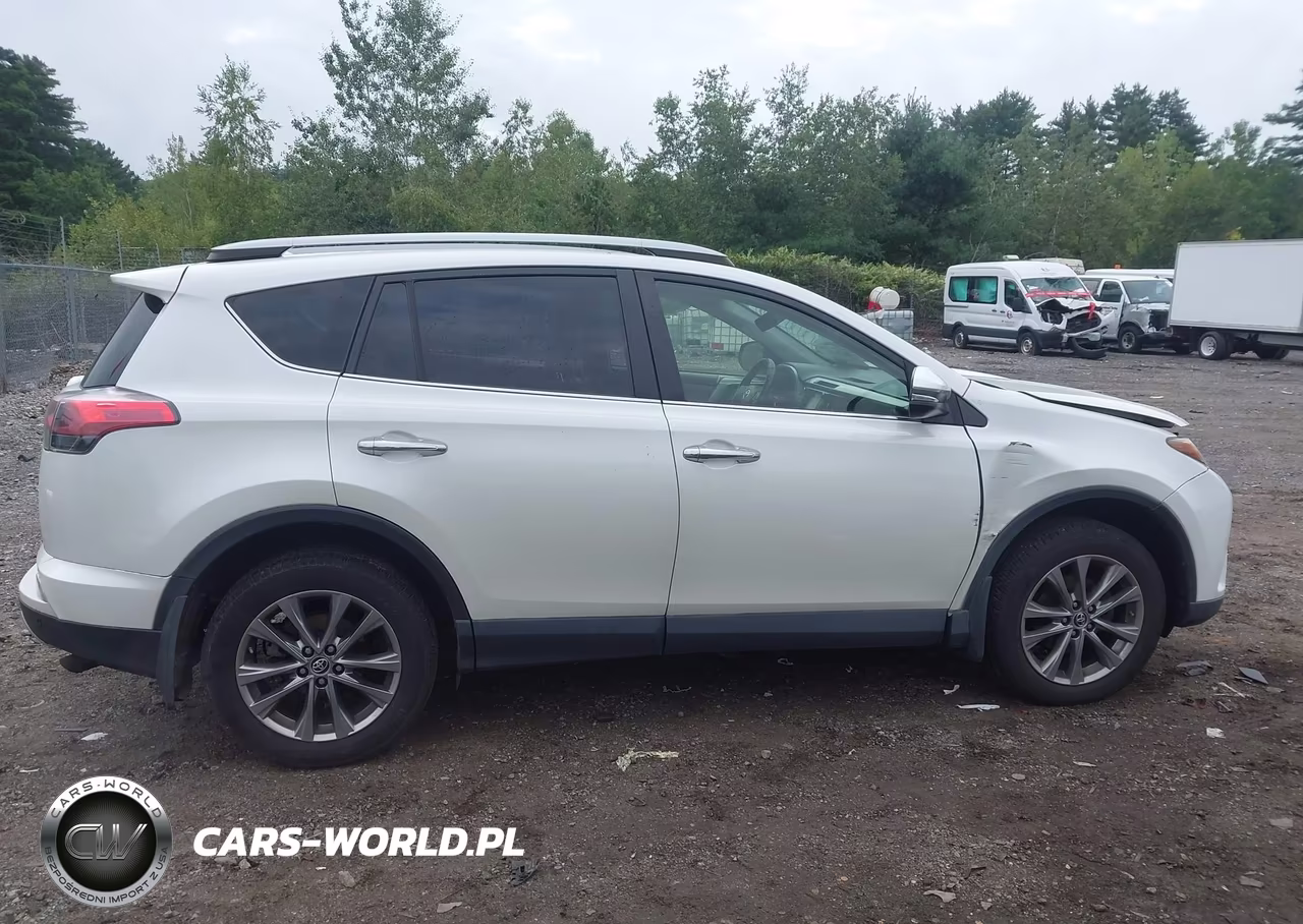 2017 Toyota Rav4 Limited VIN:JTMDFREV9HJ143527 - 13