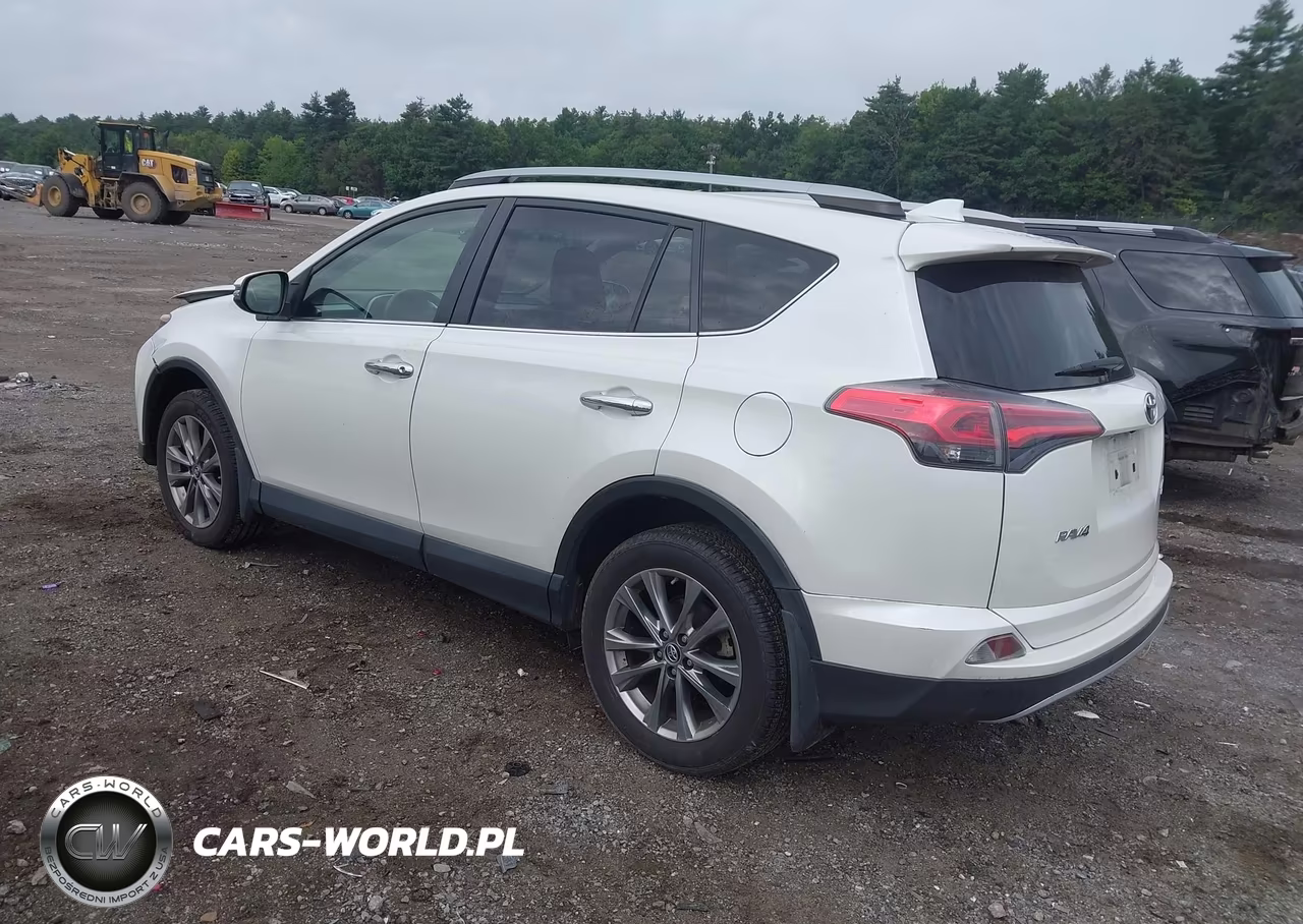 2017 Toyota Rav4 Limited VIN:JTMDFREV9HJ143527 - 3