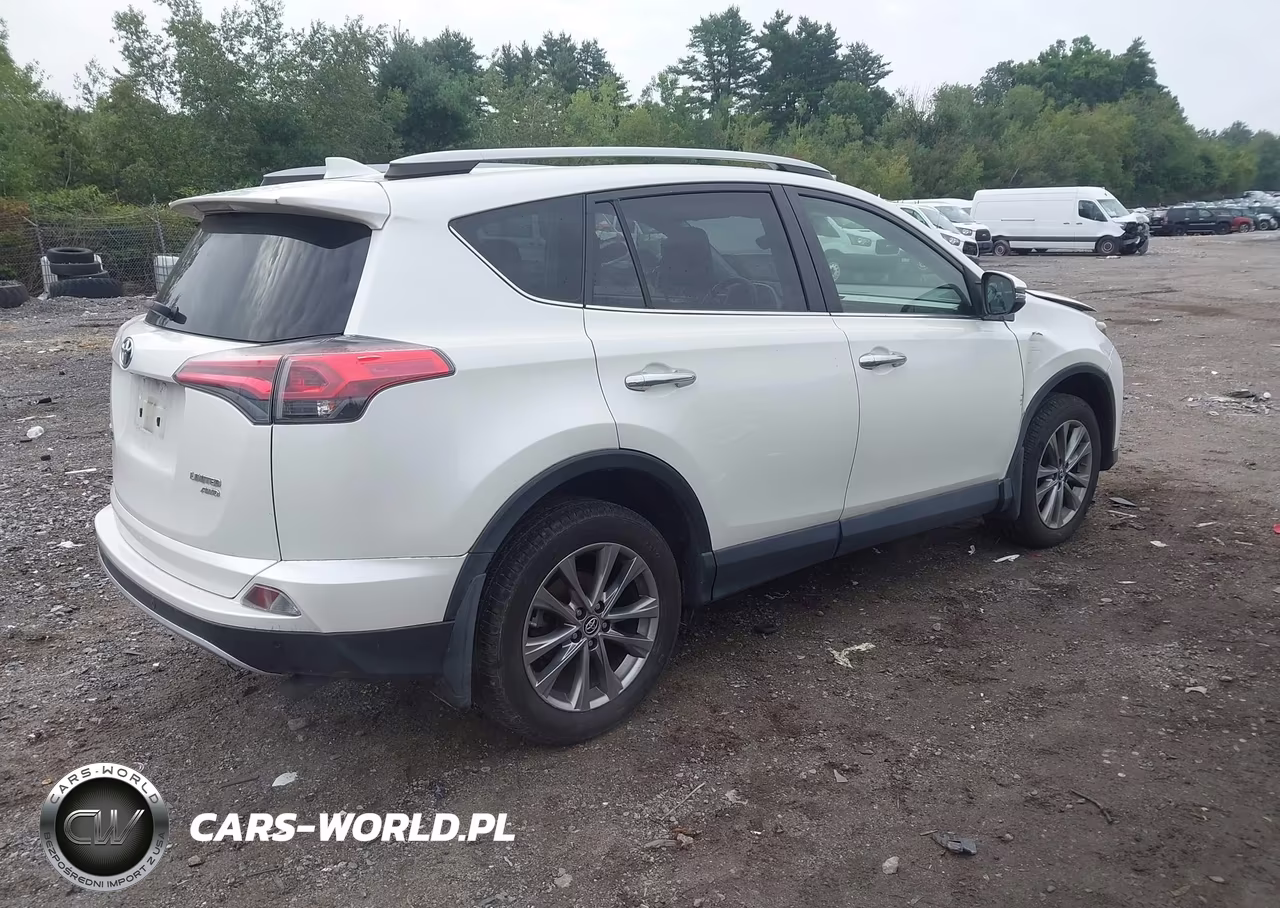 2017 Toyota Rav4 Limited VIN:JTMDFREV9HJ143527 - 4
