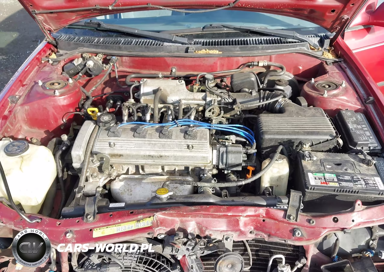 1996 Toyota Corolla Dx VIN:1NXBB02E6TZ365724 - 10
