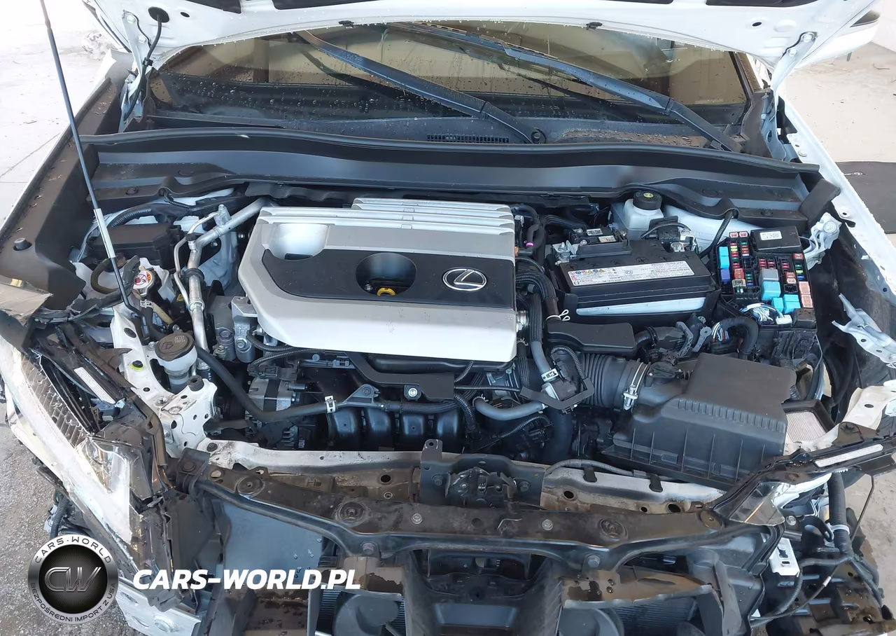 2022 Lexus Ux 200 VIN:JTHX3JBH1N2048986 - 10