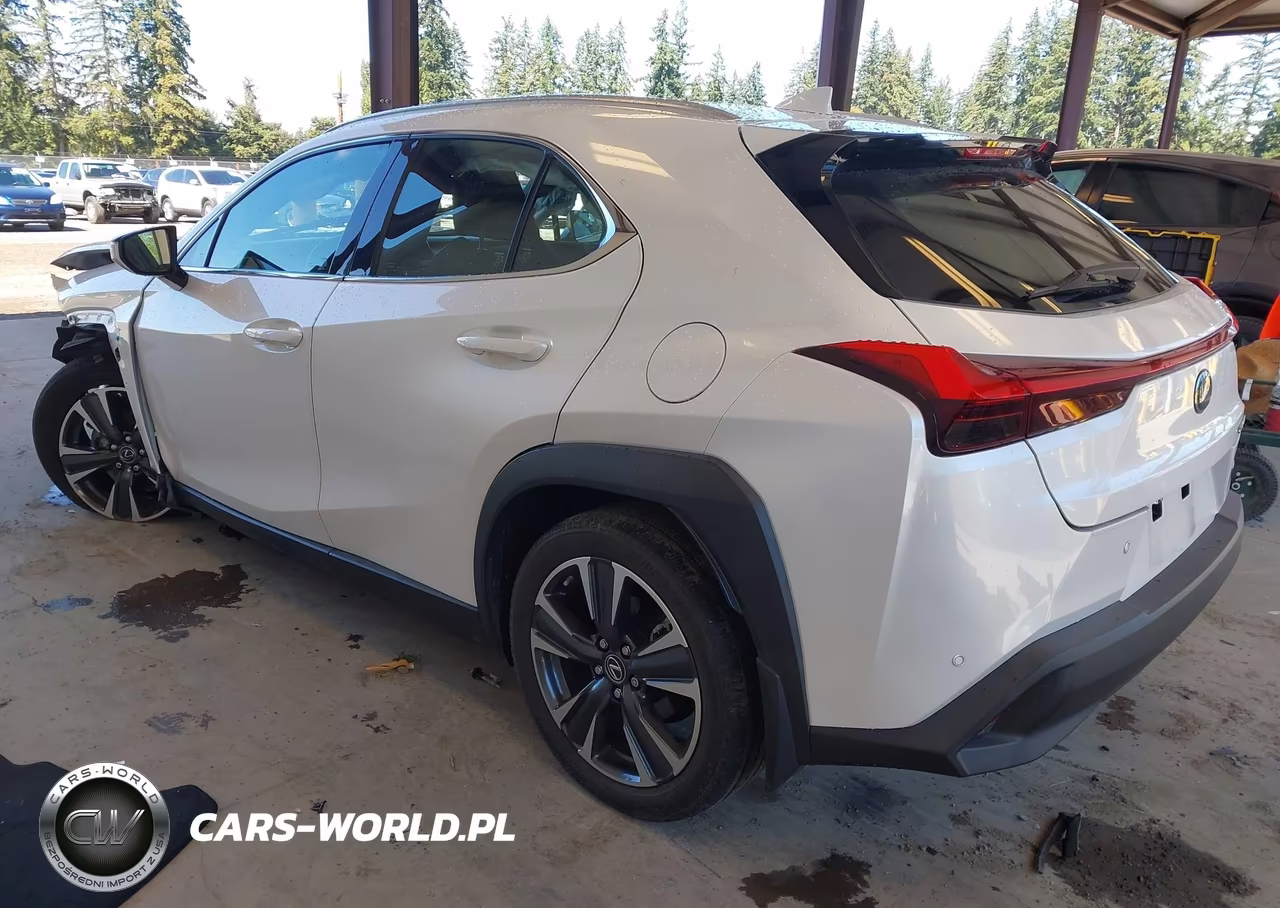 2022 Lexus Ux 200 VIN:JTHX3JBH1N2048986 - 3