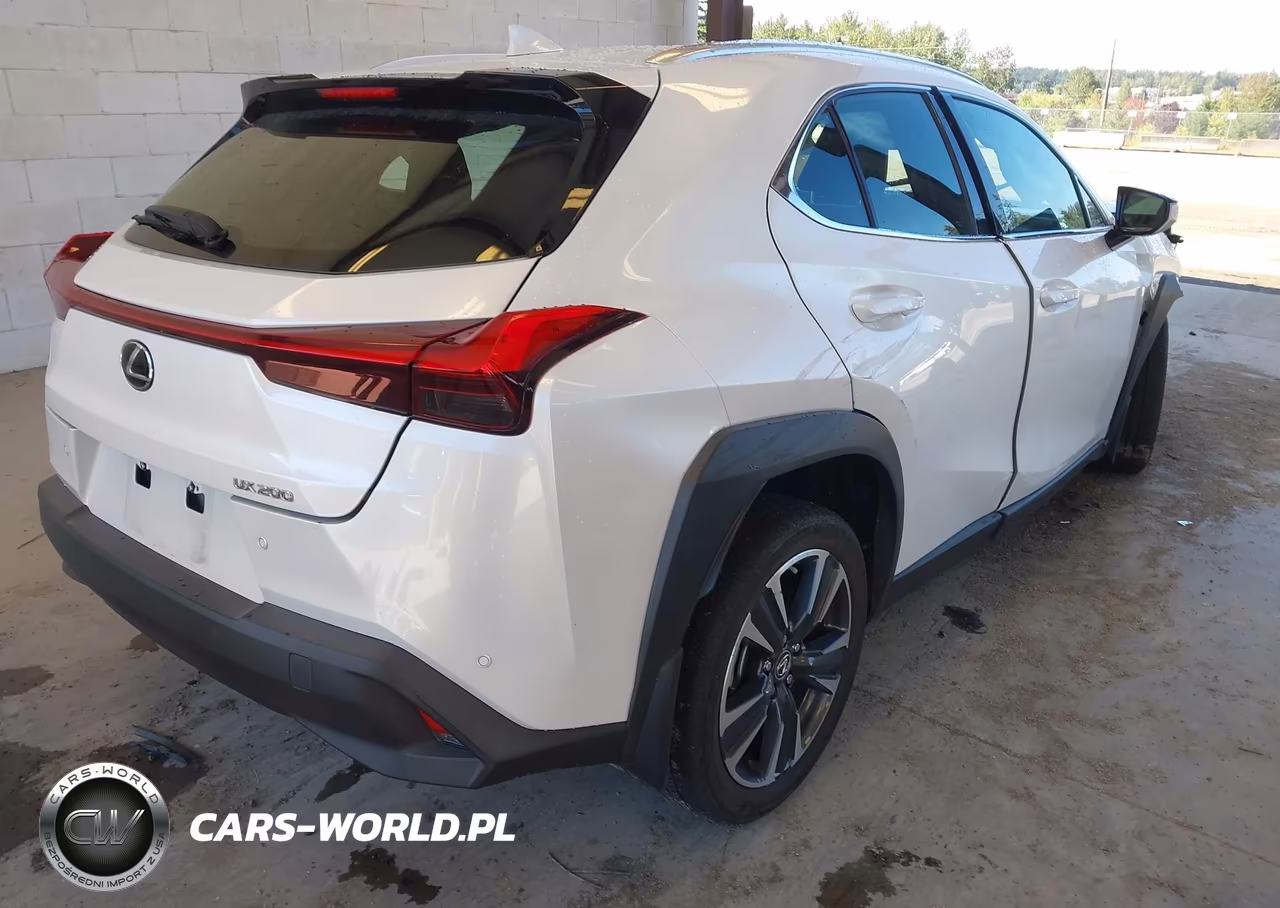 2022 Lexus Ux 200 VIN:JTHX3JBH1N2048986 - 4