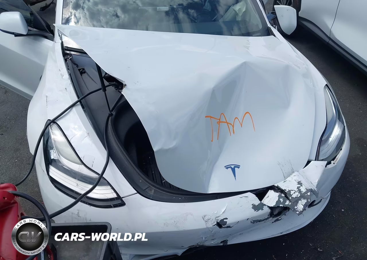 2021 Tesla Model 3 Standard Range Plus Rear-Wheel Drive VIN:5YJ3E1EA1MF856761 - 10