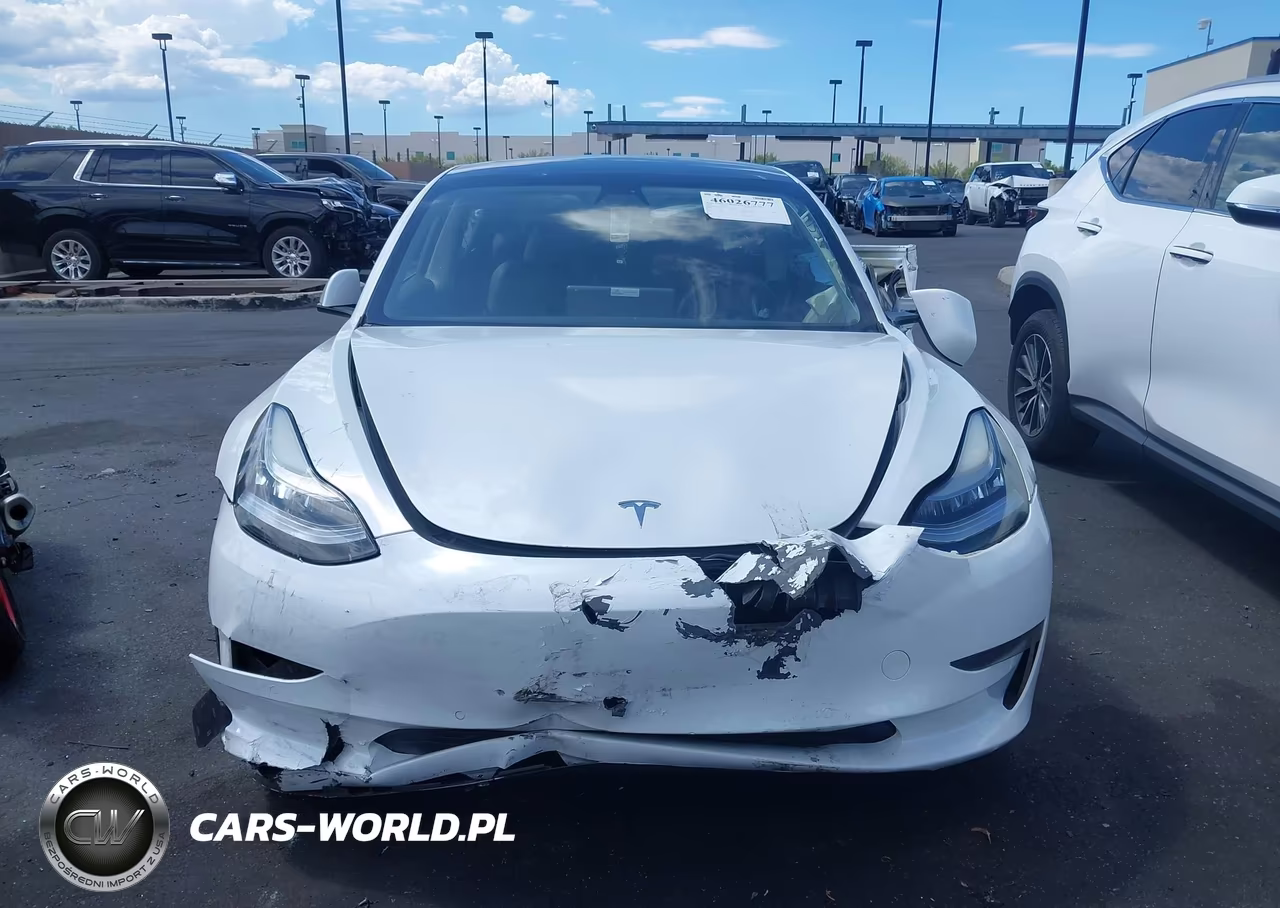 2021 Tesla Model 3 Standard Range Plus Rear-Wheel Drive VIN:5YJ3E1EA1MF856761 - 12
