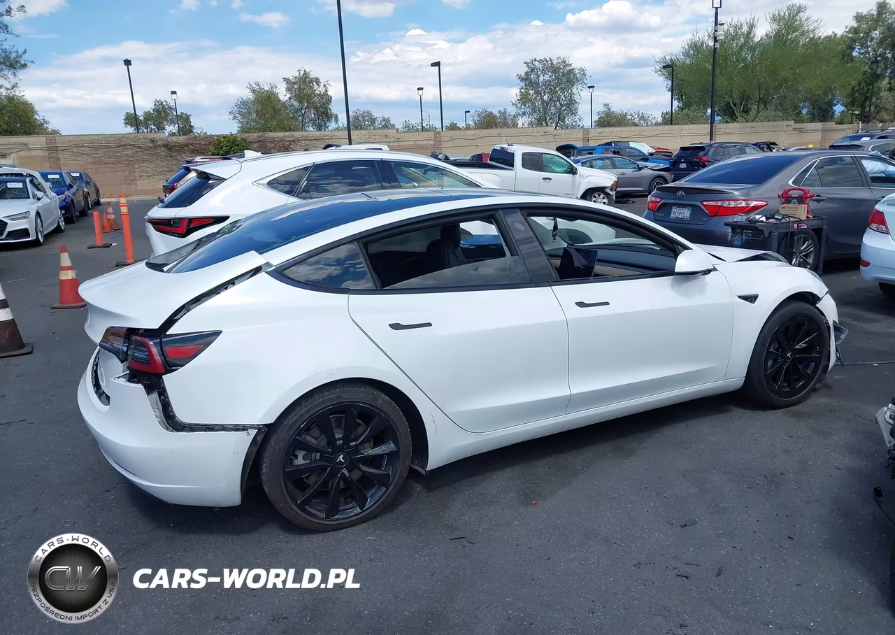 2021 Tesla Model 3 Standard Range Plus Rear-Wheel Drive VIN:5YJ3E1EA1MF856761 - 13