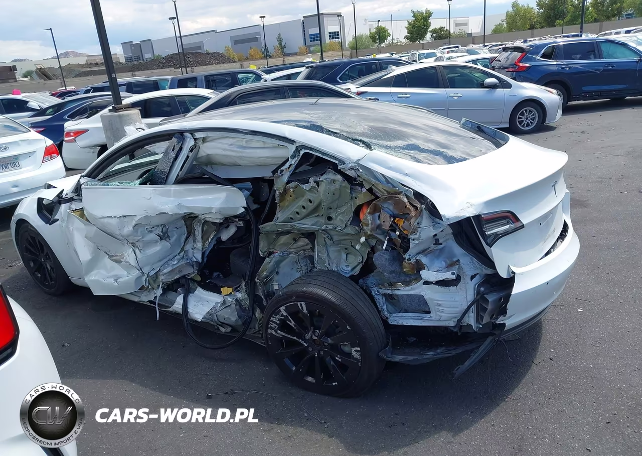 2021 Tesla Model 3 Standard Range Plus Rear-Wheel Drive VIN:5YJ3E1EA1MF856761 - 14