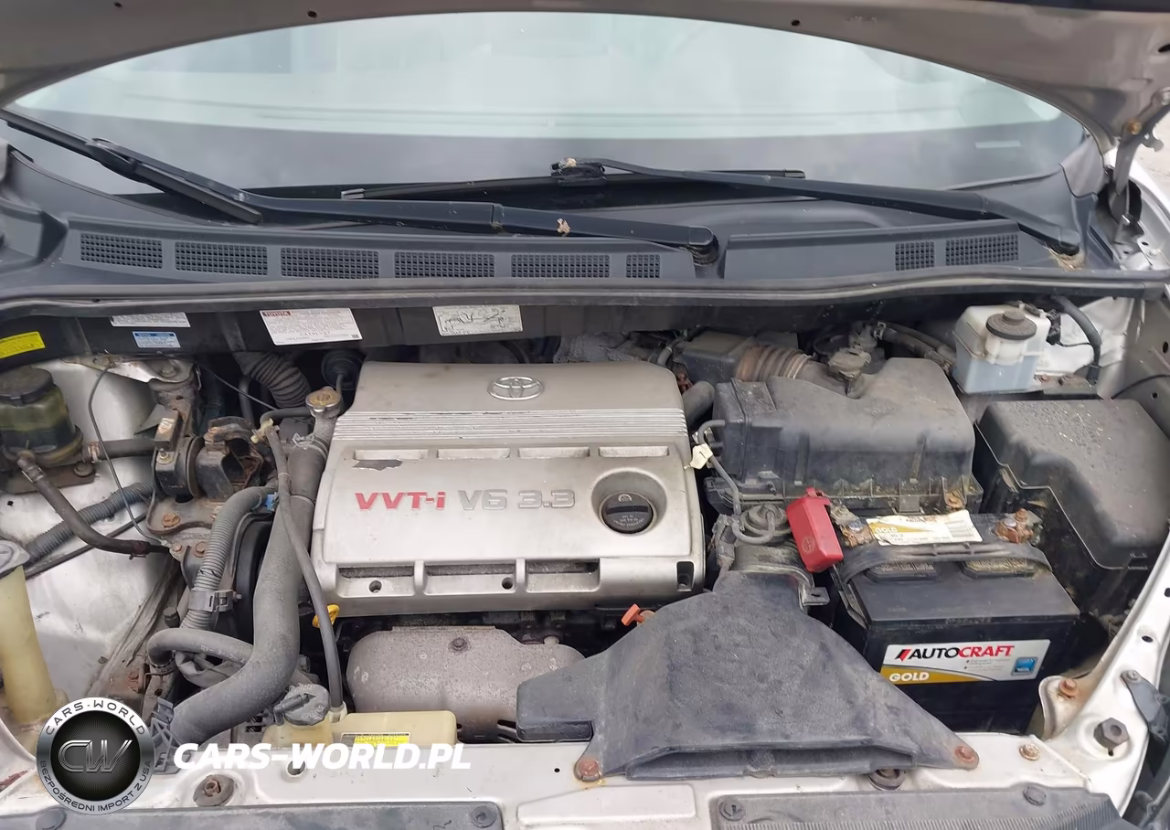 2004 Toyota Sienna Xle Limited VIN:5TDBA22C44S003365 - 10