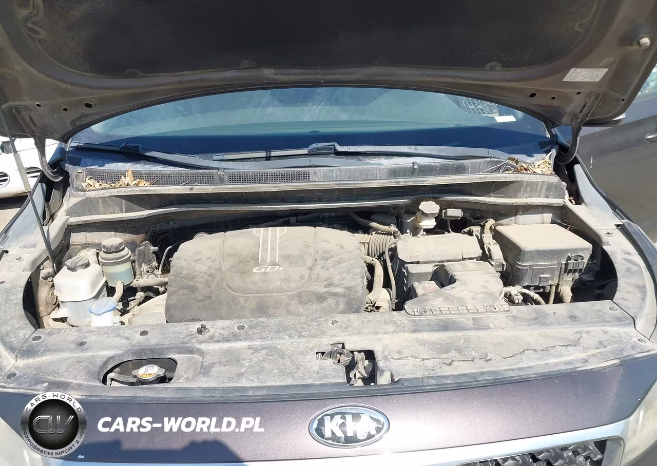 2015 Kia Sedona Ex VIN:KNDMC5C14F6027329 - 10