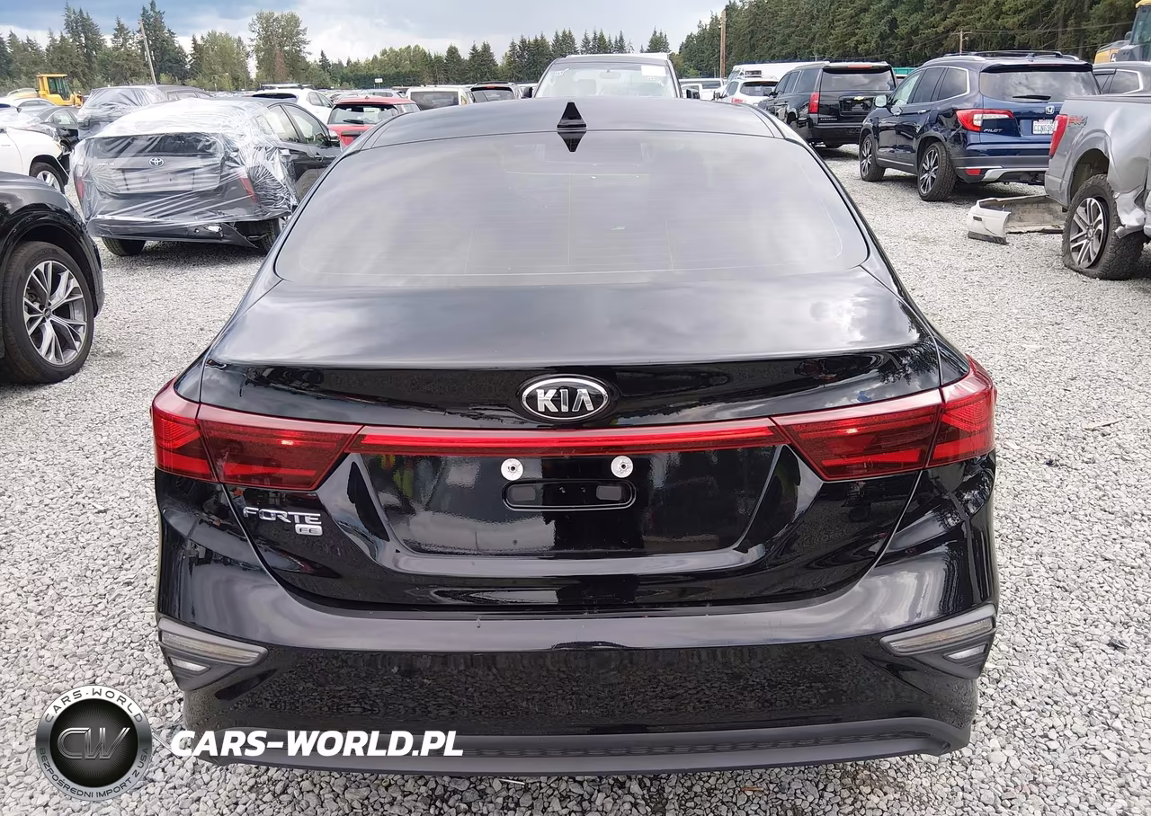 2019 Kia Forte Fe VIN:3KPF24ADXKE055188 - 17