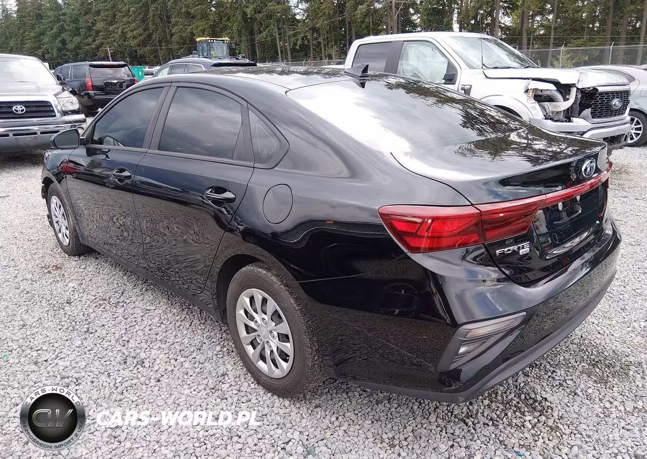 2019 Kia Forte Fe VIN:3KPF24ADXKE055188 - 3