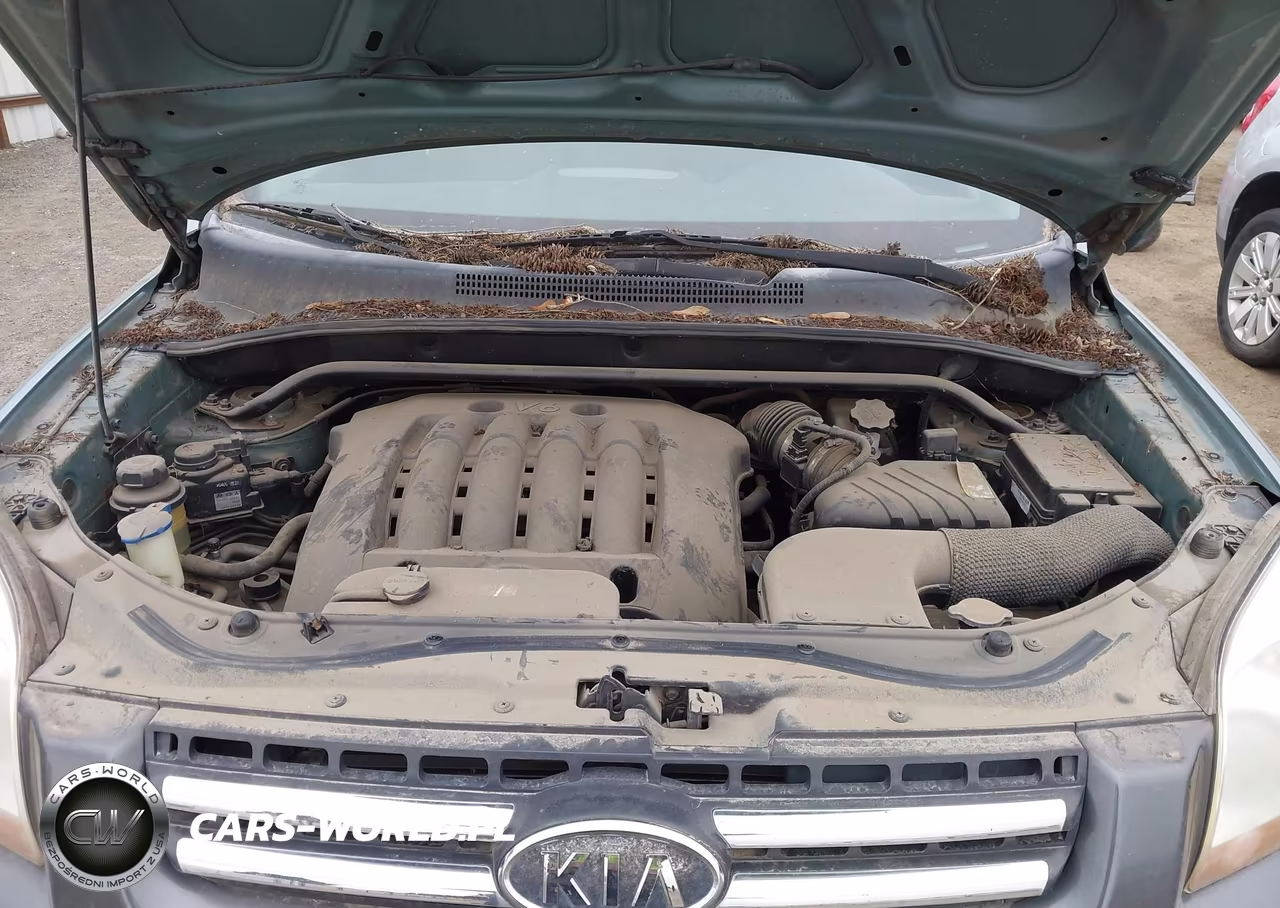 2007 Kia Sportage Lx V6 VIN:KNDJE723277360989 - 10