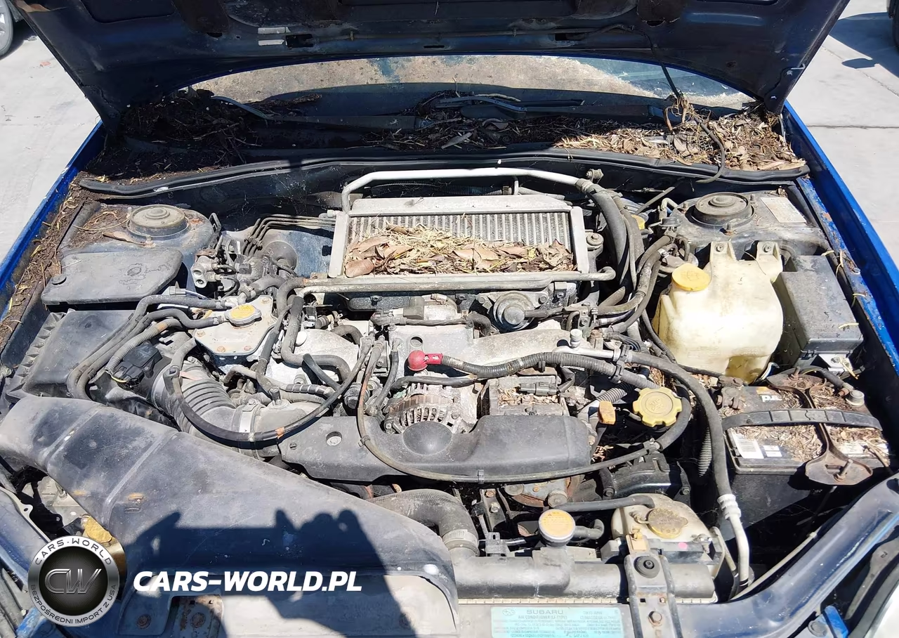 2002 Subaru Impreza Wrx VIN:JF1GD29612G529687 - 10