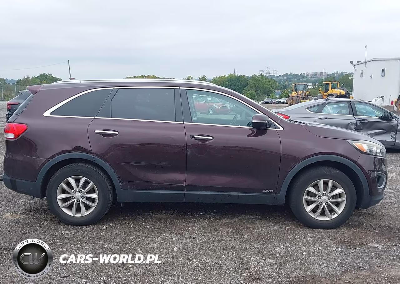 2016 Kia Sorento 2.4L Lx VIN:5XYPGDA36GG026388 - 13
