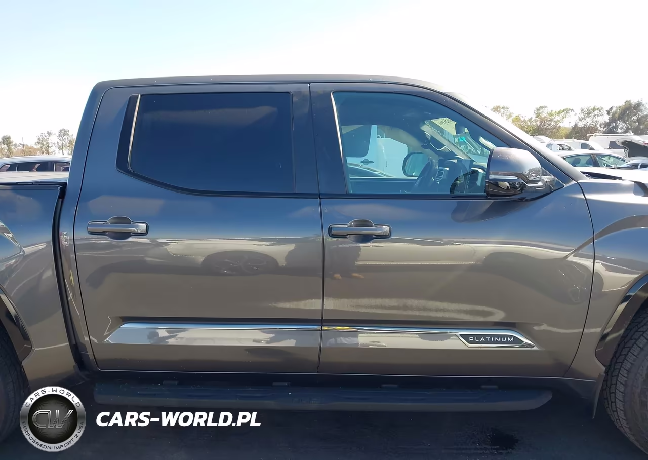 2025 Toyota Tundra Platinum VIN:5TFWA5DB4SX332484 - 13