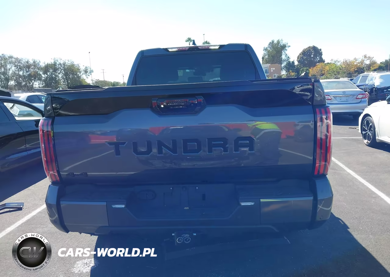 2025 Toyota Tundra Platinum VIN:5TFWA5DB4SX332484 - 16