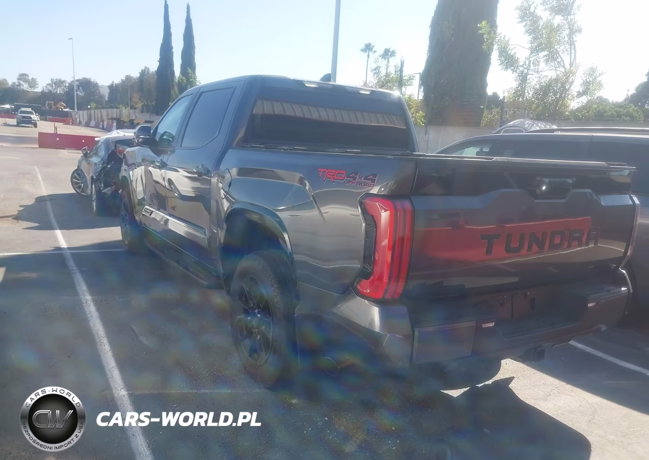 2025 Toyota Tundra Platinum VIN:5TFWA5DB4SX332484 - 3