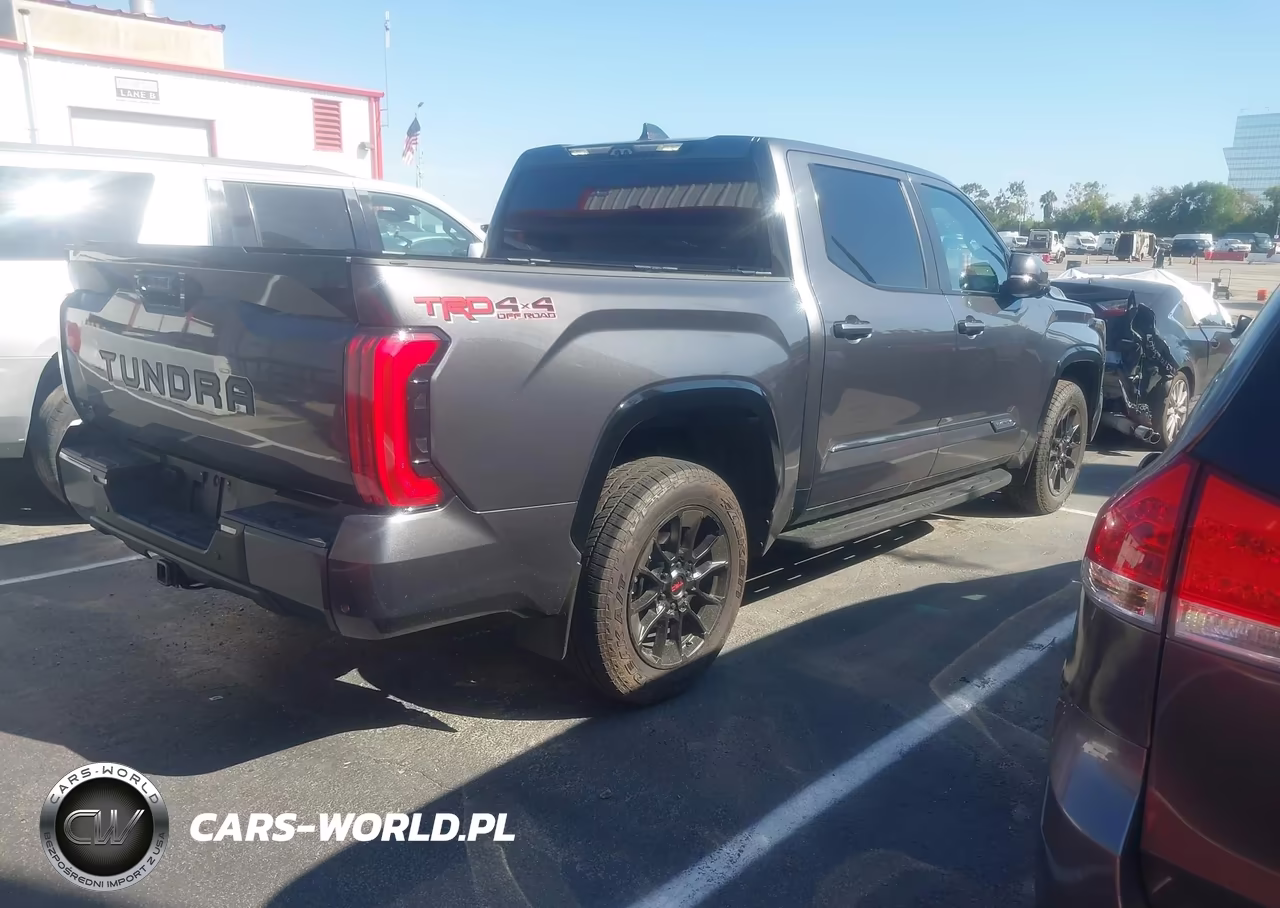 2025 Toyota Tundra Platinum VIN:5TFWA5DB4SX332484 - 4