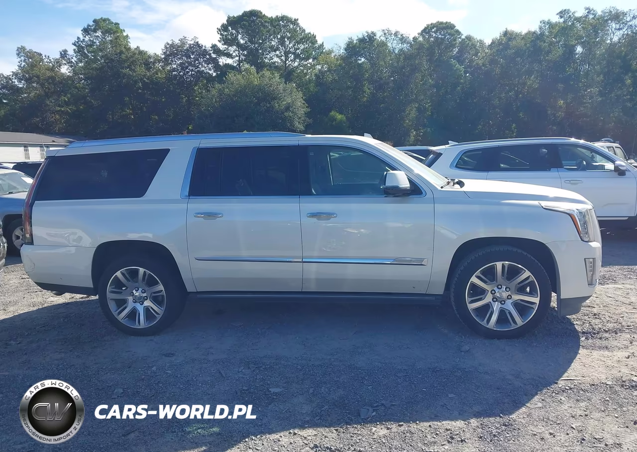 2015 Cadillac Escalade Esv Premium VIN:1GYS3TKJXFR680916 - 13