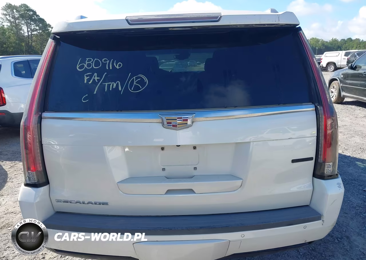 2015 Cadillac Escalade Esv Premium VIN:1GYS3TKJXFR680916 - 16