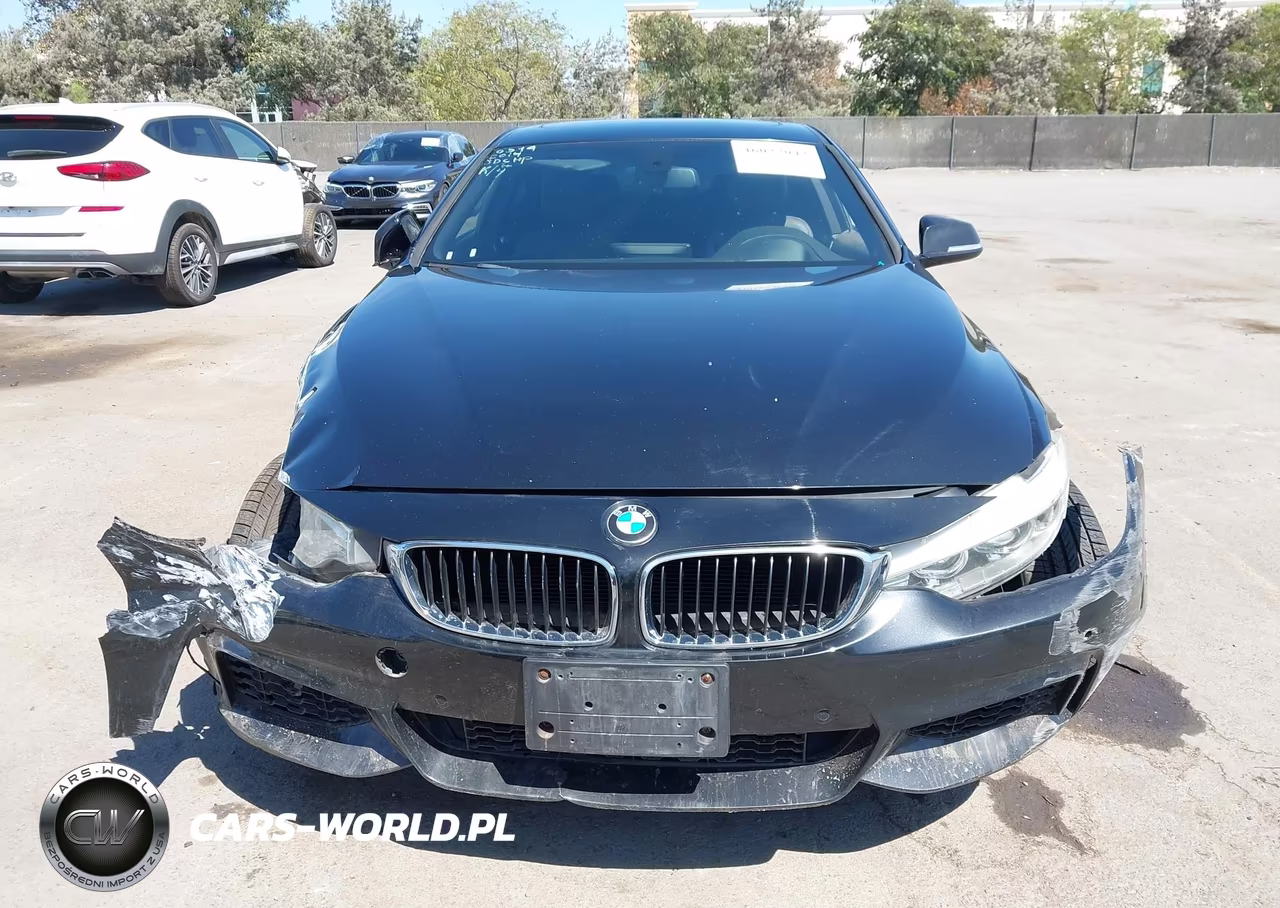 2014 BMW 428I VIN:WBA3N7C53EK220594 - 12