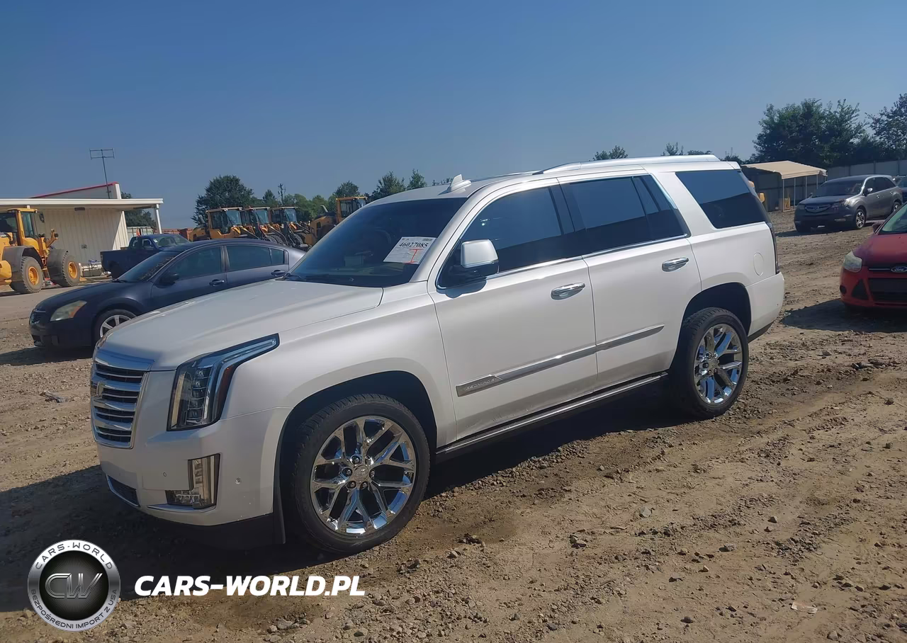 2018 Cadillac Escalade Platinum VIN:1GYS4DKJ2JR248445 - 2