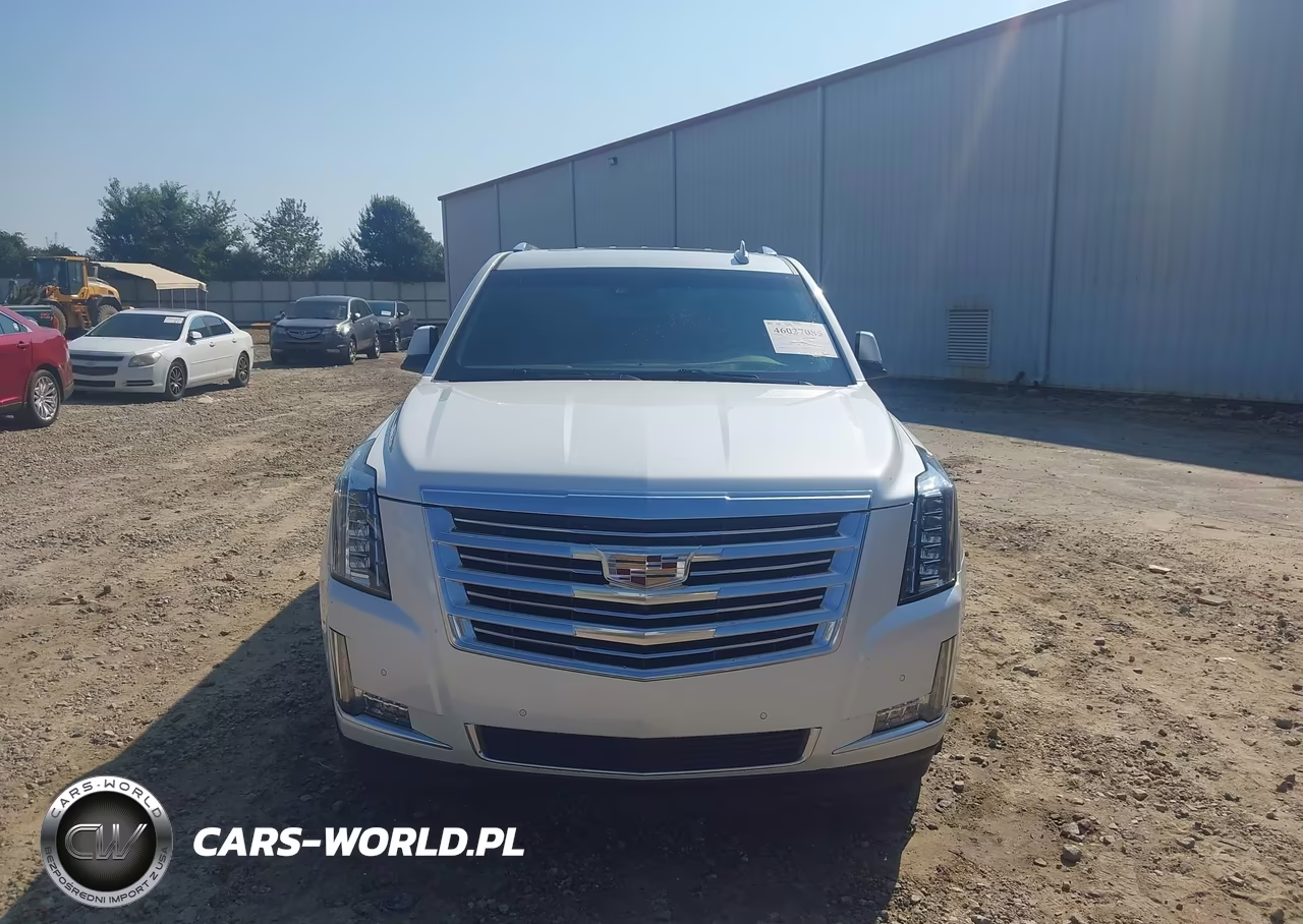 2018 Cadillac Escalade Platinum VIN:1GYS4DKJ2JR248445 - 6