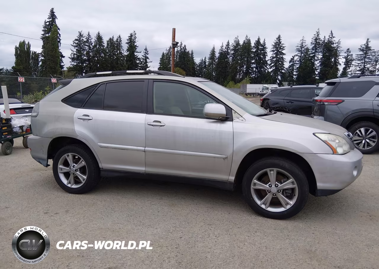 2006 Lexus Rx 400H VIN:JTJGW31U160003575 - 14