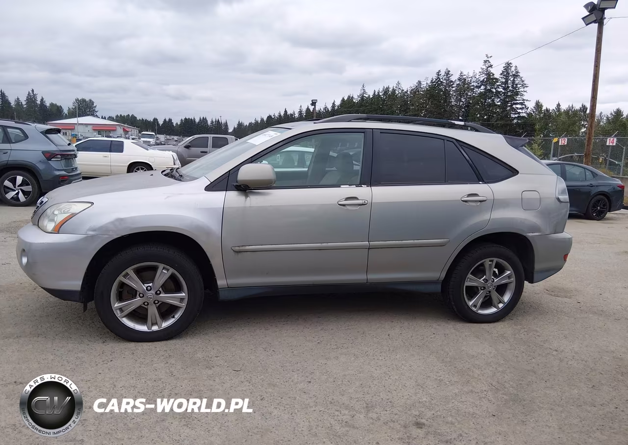 2006 Lexus Rx 400H VIN:JTJGW31U160003575 - 15