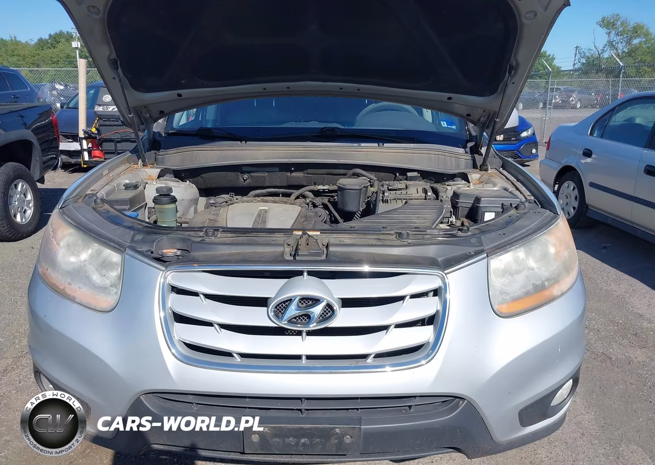 2010 Hyundai Santa Fe Limited V6 VIN:5NMSKDAG4AH338749 - 6