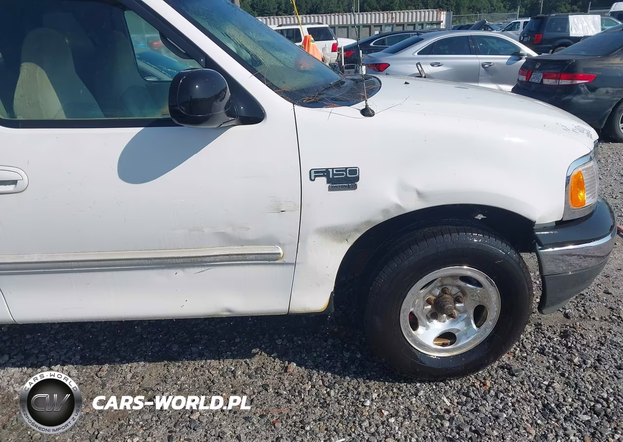 1999 Ford F-150 Lariat-Work Series-Xl-Xlt VIN:1FTRX17W8XKC11979 - 13
