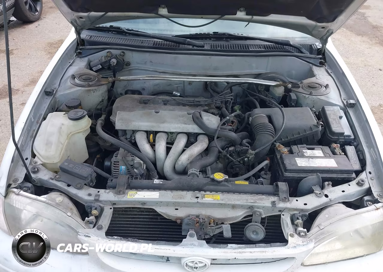 1999 Toyota Corolla Ve VIN:1NXBR12E6XZ260253 - 10