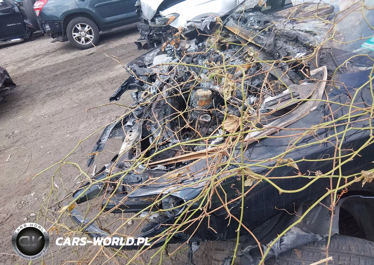 2019 Subaru Wrx Premium VIN:JF1VA1F60K8808749 - 5