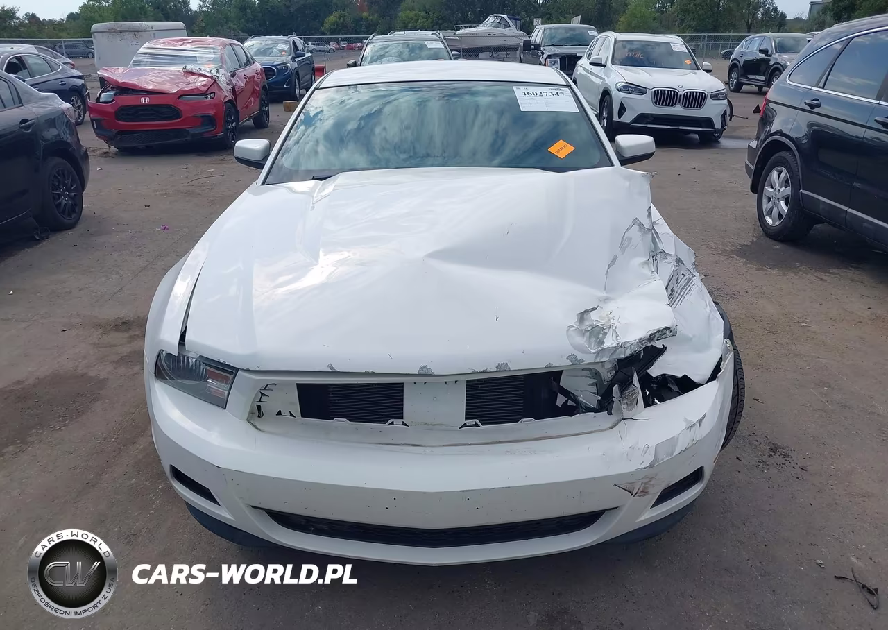 2012 Ford Mustang V6 Premium VIN:1ZVBP8AM9C5209584 - 12