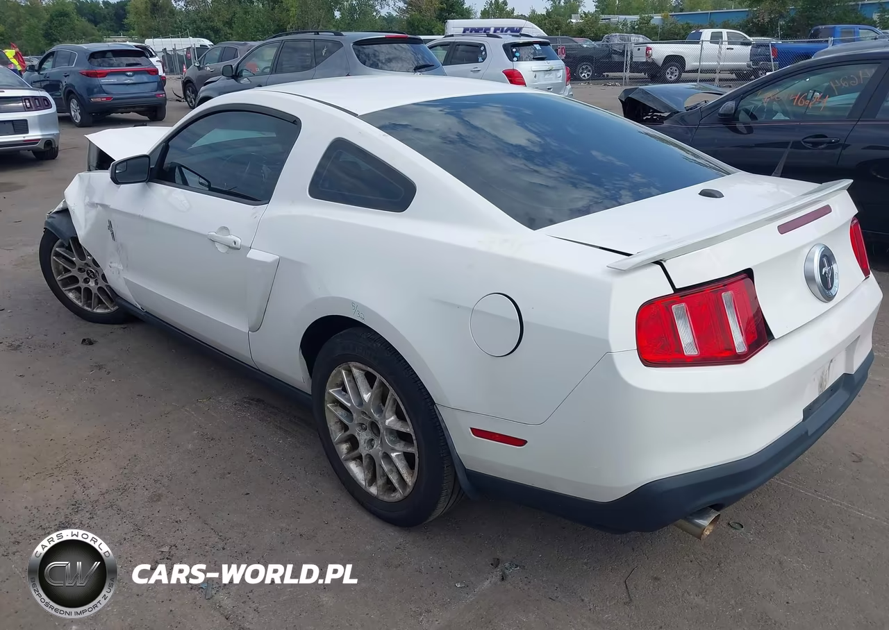 2012 Ford Mustang V6 Premium VIN:1ZVBP8AM9C5209584 - 3