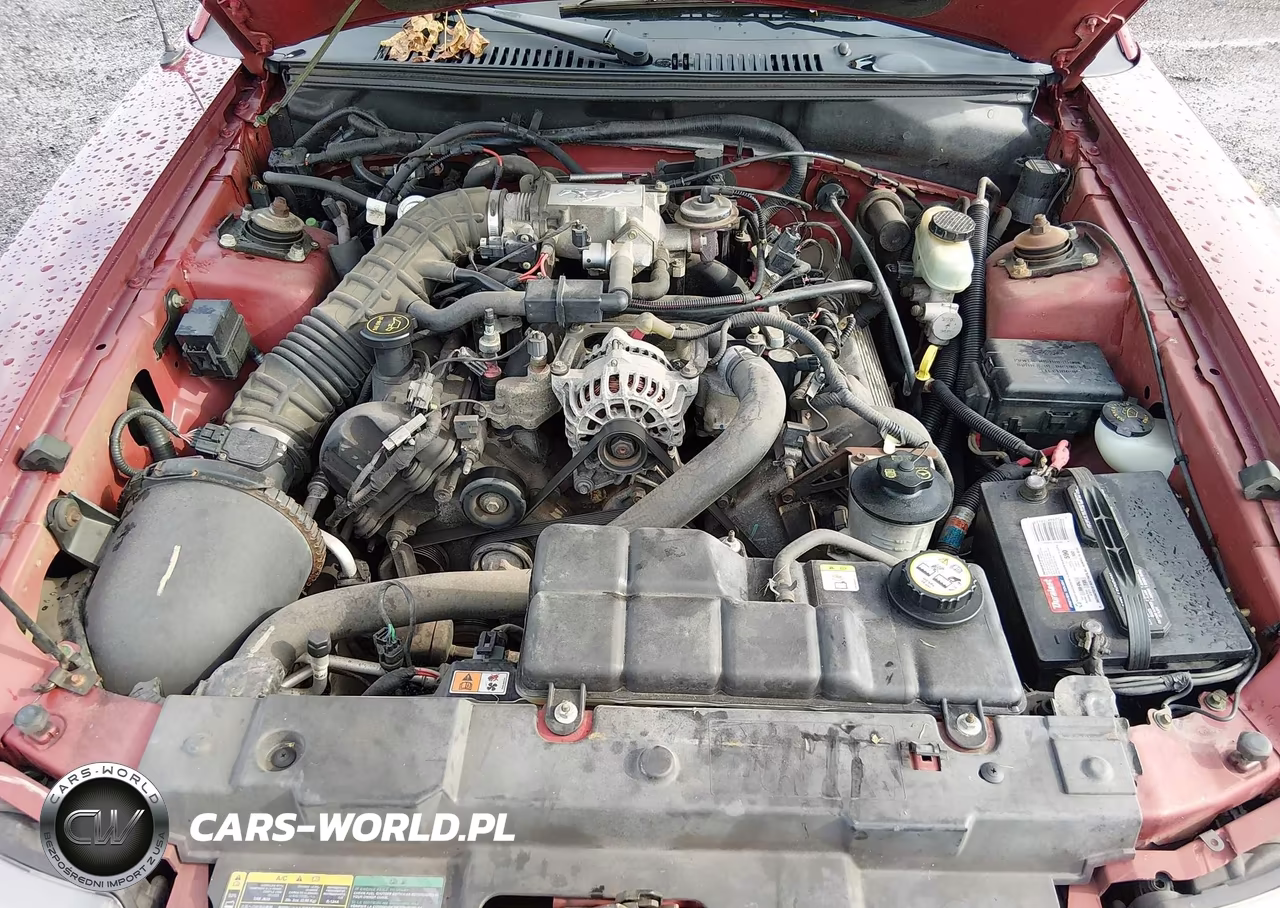 2003 Ford Mustang Gt VIN:1FAFP42X13F339882 - 10
