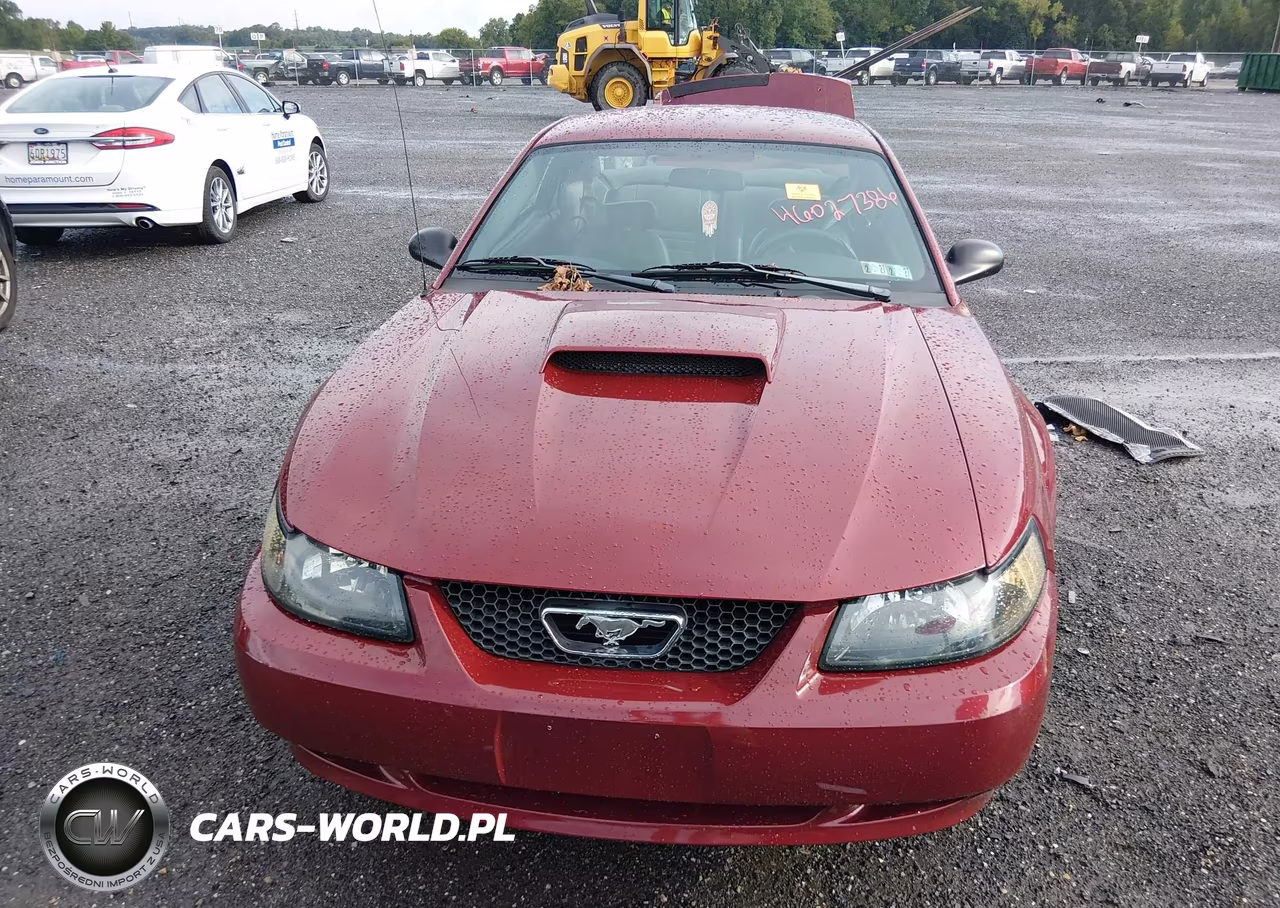 2003 Ford Mustang Gt VIN:1FAFP42X13F339882 - 12
