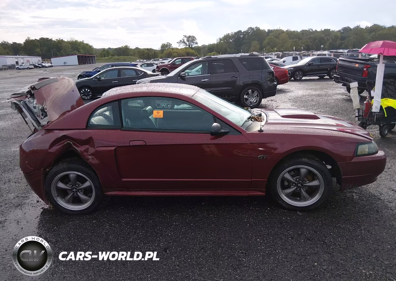 2003 Ford Mustang Gt VIN:1FAFP42X13F339882 - 13